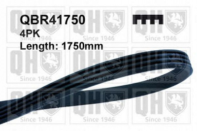 QUINTON HAZELL qbr41750 -  Поликлиновой ремень